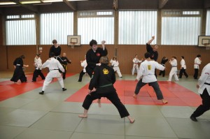 DSC_2561 (FILEminimizer)