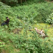 Survival in der grünen Hölle